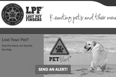 QR Generation SAAS Platform